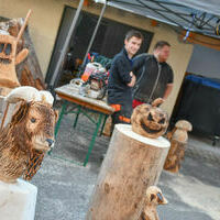 Vieh25_(1020) Vieh25_(1020)