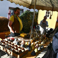 Vieh25_(1031) Vieh25_(1031)