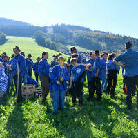 Vieh25_(1223) Vieh25_(1223)