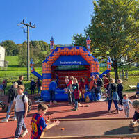 Vieh25_(1256_b) Vieh25_(1256_b)