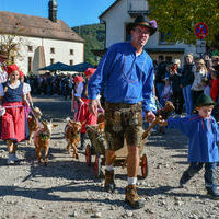 Vieh25_(1049) Vieh25_(1049)