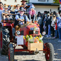 Vieh25_(1070) Vieh25_(1070)