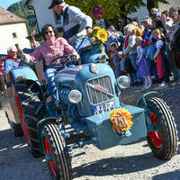 Vieh25_(1115) Vieh25_(1115)